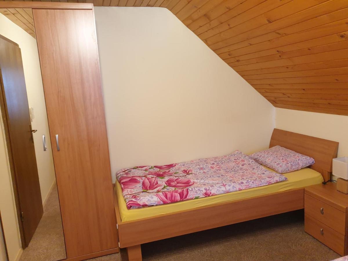 Apartma Horvat ボーヒニ エクステリア 写真