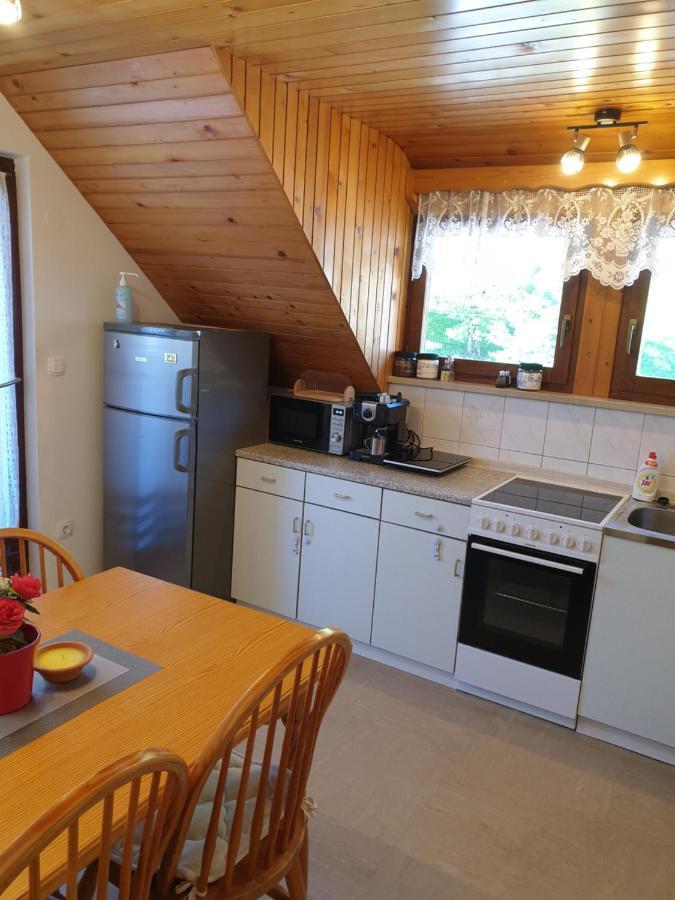 Apartma Horvat ボーヒニ エクステリア 写真